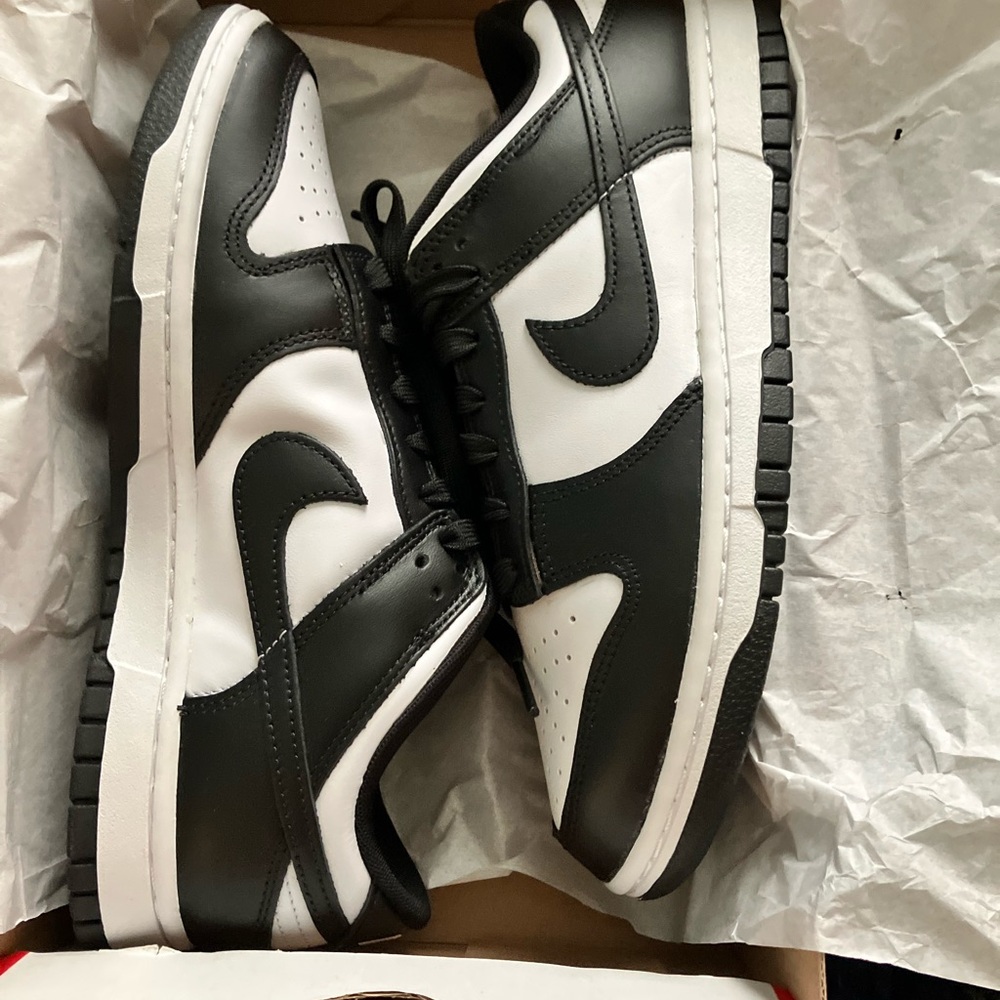 Men's Classic Nike Dunk Lo Retro